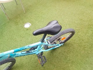 Bicicleta infantil 20 pulgadas