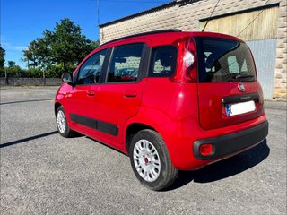FIAT Panda 2016 1.2 lounge