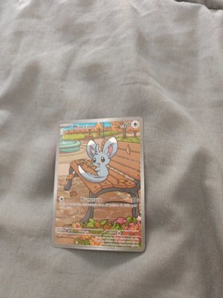 2 Cartas Pokémon Artista