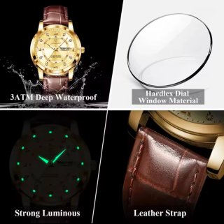 Reloj Poedagar Dorado y Marrón para Hombre