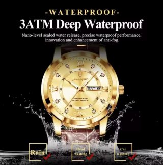 Reloj Poedagar Dorado y Marrón para Hombre