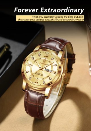 Reloj Poedagar Dorado y Marrón para Hombre