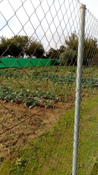 Parcela