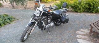 Harley-Davidson Negra Cruiser