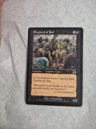 Shepherd of Rot Magic The Gathering Carta