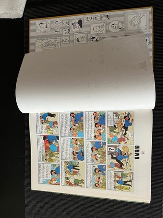Tintin euskera ilargian oinez