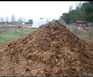 Estiércol de caballo para abono