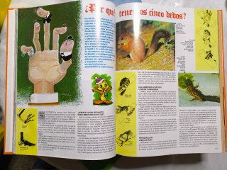 LIBRO GORDO DE PETETE