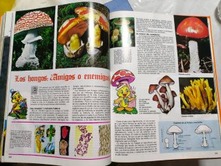 LIBRO GORDO DE PETETE