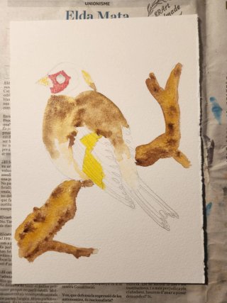 Jilguero acuarela pintado a mano