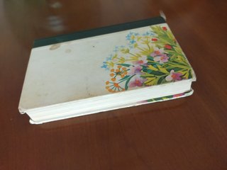 Libro - Nuestras amigas las plantas 3