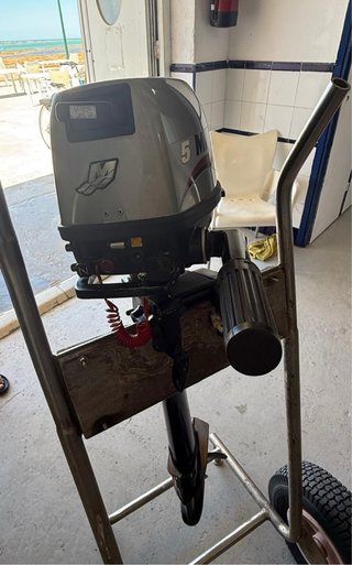 Motor fueraborda Mariner 5 CV 4T