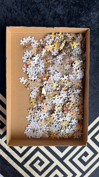 Puzzle 1000 Piezas Casa y Niños Pescando