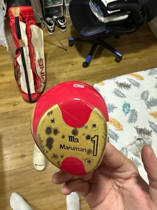 Set de palos de golf con fundas