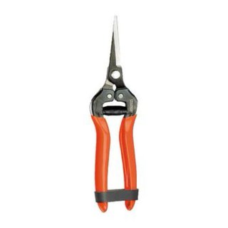 Tijera vendimia 1 mano 19cm Stocker