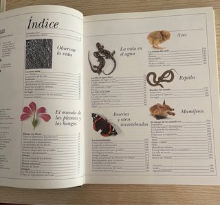 Lote de tres libros de la colección Ciencia Viva