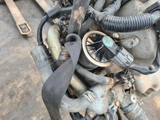 Motor d16v1 honda civic vii hatchback 1.6 i 826792