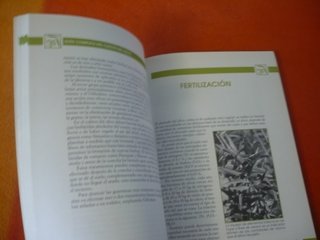GUIA COMPLETA DEL CULTIVO DEL OLIVO ( ALBIÑANA )