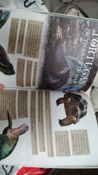 Libro el mundo animal