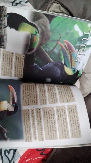 Libro el mundo animal