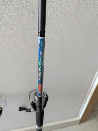 2 cañas de pescar con carretes