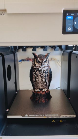 Búho realista para decoración