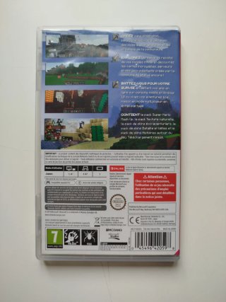 Minecraft Nintendo Switch