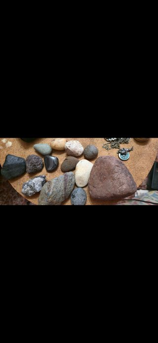 Rocas y caracolas de mar de Argentina