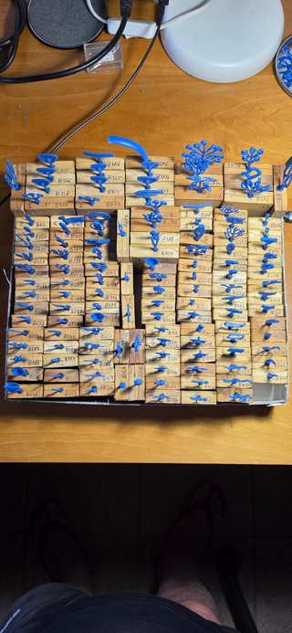 Componenti per Bracciali e Collane