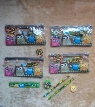 Lote 4 Estuches Escolares Búhos Kawaii