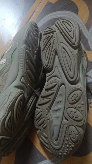 Zapatillas Adidas Beige y Verde