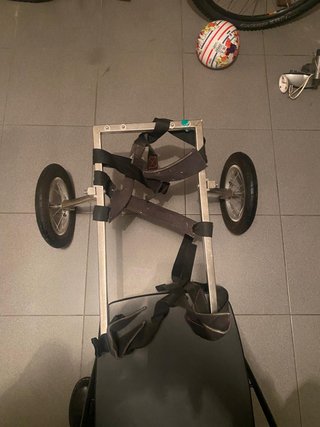 Silla de acero inoxidable para perro grande
