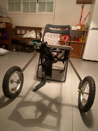 Silla de acero inoxidable para perro grande