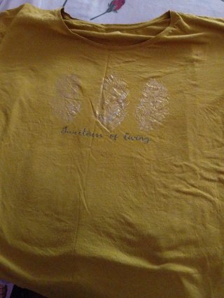Lote 7 Camisetas Estampadas Mujer