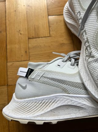 Nike Pegasus Trail 2 Gore-Tex T43