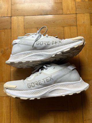 Nike Pegasus Trail 2 Gore-Tex T43