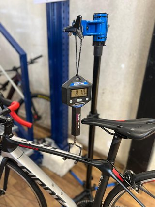 Giant TCR Advanced 2 2019 / Talla XS