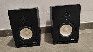 Monitores activos Swisonic ASM5 (Pareja)