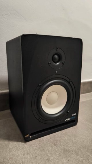 Monitores activos Swisonic ASM5 (Pareja)