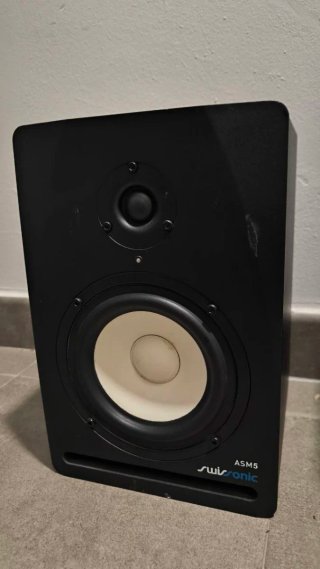 Monitores activos Swisonic ASM5 (Pareja)