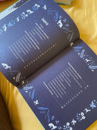 Lote 2 libros Princesas y Unicornios