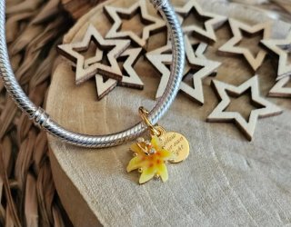 Charm Magico Flor Rapunzel