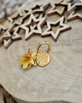Charm Magico Flor Rapunzel