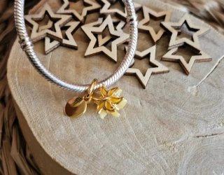 Charm Magico Flor Rapunzel