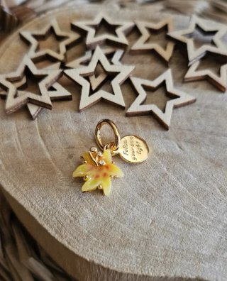 Charm Magico Flor Rapunzel