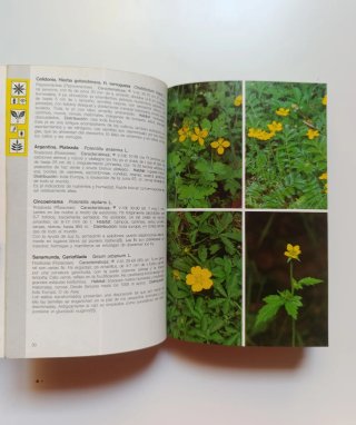 Guía de campo de las plantas de Europa.