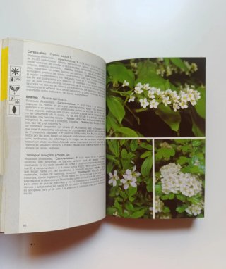 Guía de campo de las plantas de Europa.