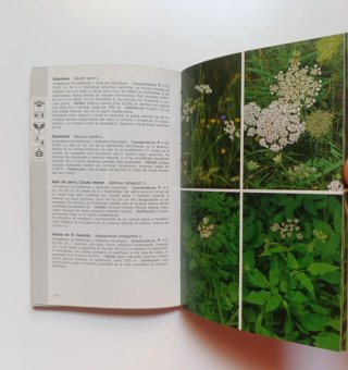 Guía de campo de las plantas de Europa.