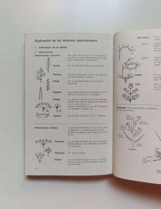 Guía de campo de las plantas de Europa.