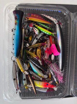 Pack pato pesca The Creek Company + Sonda lowrance